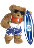 Surfer Girl